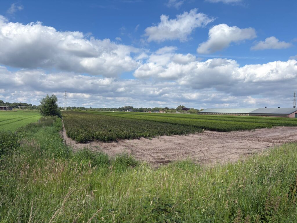 Brugveenseweg