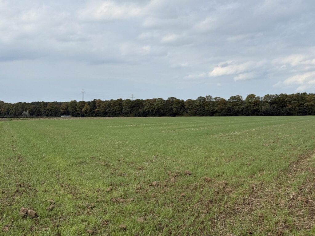 Kadoelerweg 16
