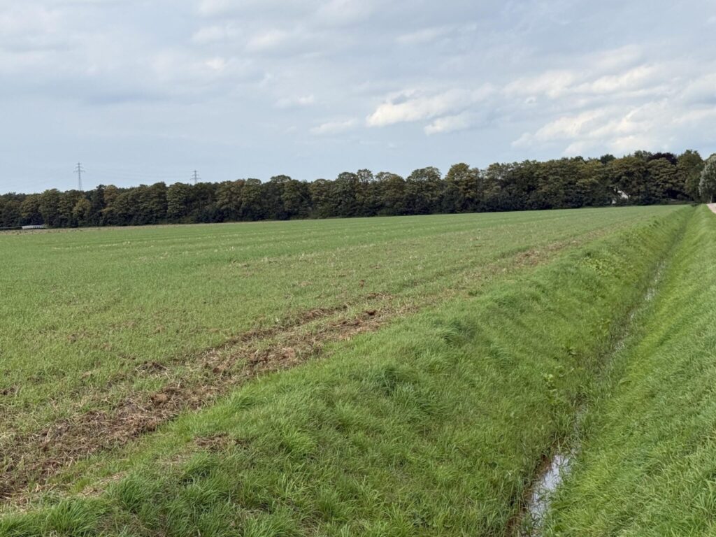 Kadoelerweg 16
